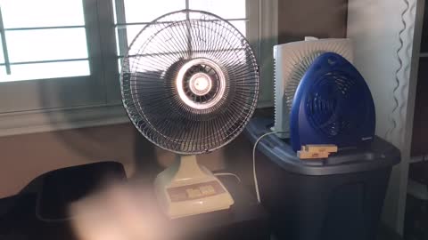 1980’s Tatung 12” oscillating desk fan!