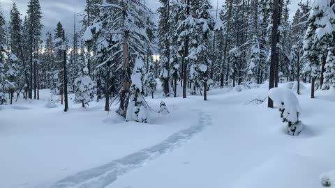 Summit Junction – Central Oregon – Vista Butte Sno-Park – 4K