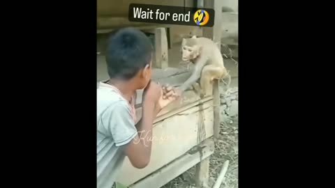 Funny video 😂😂