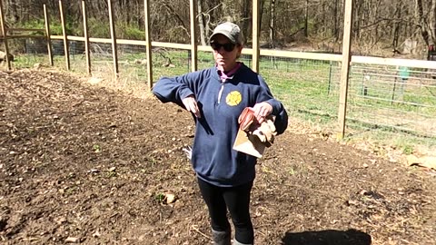 Laying CARDBOARD and PULLING WEEDS to get the GARDEN ready | Adding some CATTLE PANEL trellises