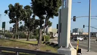 EPIC VIDEO OF TRUMP FORCE ONE LANDING IN LA 🔥✈️🎥