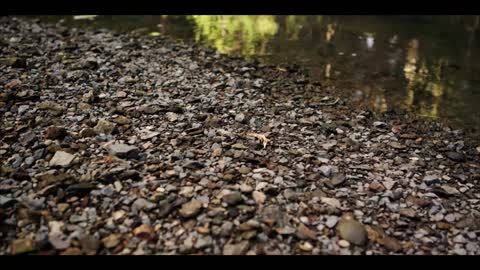 New Zealand in 4K (Ultra HD)