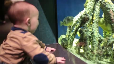 Funny Baby at the Aquarium