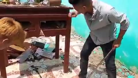 Video of catching a snake with bare hands ,