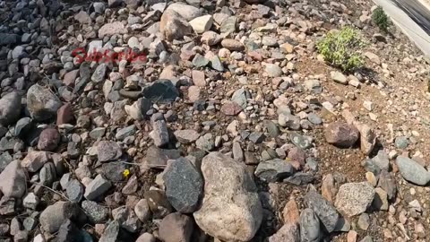 Would the Geocache be under this pile of Rocks?