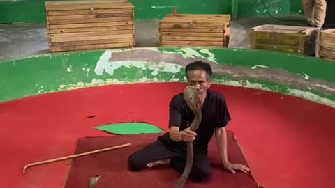 Thai mam with snake.