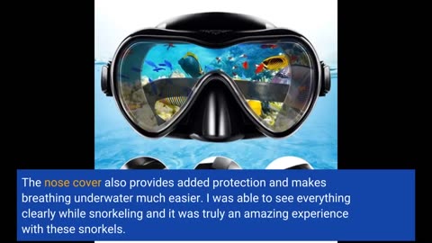 Real Reviews: DIPUKI Snorkeling Gear for Adults Snorkel mask Set Scuba Diving mask Dry Snorkel...