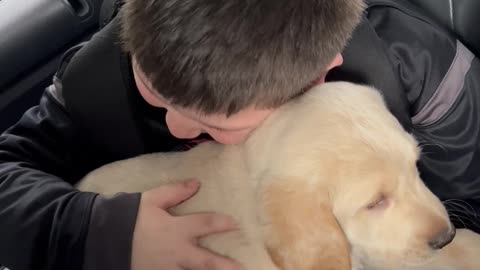 Boy Gets Puppy Surprise for His Birthday