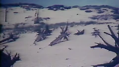 1987 - 'Indiana Outdoors' on Tree Graveyards (Partial)