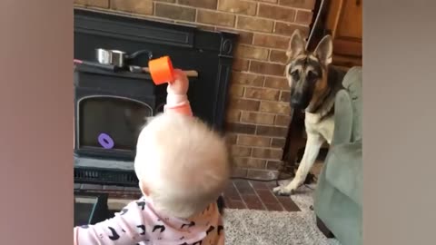 Funny Babies Playing with Dogs Compilation