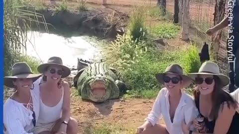 GROUP CROCODILE PHOTO OP GOES WRONG :-)