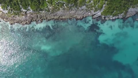 A musician with a wonderful view of nature. The beauty of the sea and the beach