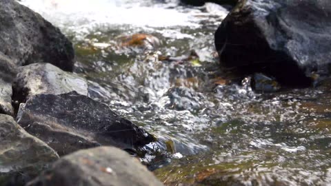 Water flowing along the river