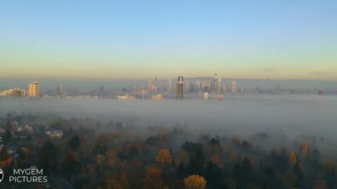 FRANKFURT AM MAIN IN THE MIST