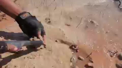 Gold hunting technique