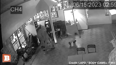 Thieves Break Into, Burglarize Three Businesses in Los Angeles, Escape in Fleet of Getaway Cars