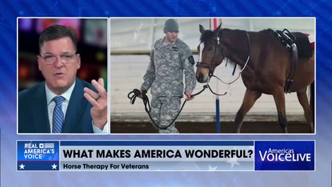 Steve Gruber: A group of veterans receive horse therapy.