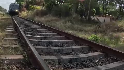 Train VS Cabbage