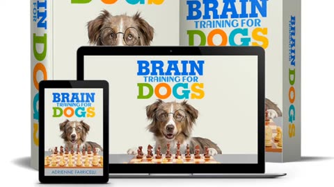 Brain Training For Dogs