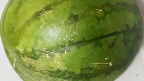 Time lapse of watermelon 🍉🍉