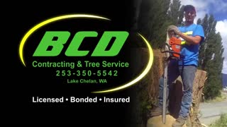 BCD Contracting