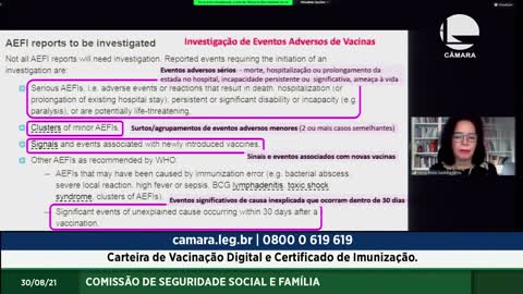 Passaporte Sanitário - Audiência Pública - Câmara dos Deputados