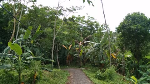 Pantai Legon pari karang Hawu - Indonesia