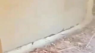 worker slipped and almost died