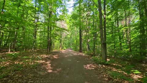 Hike Through Forest, Lakes and Rivers (with Nature Sounds)