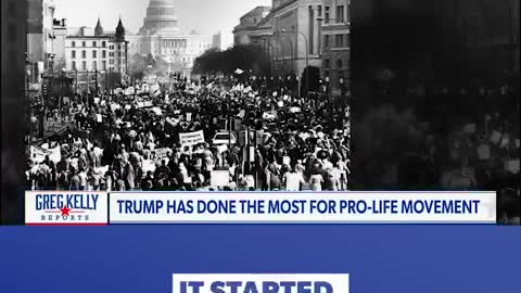 Pro Life Trump