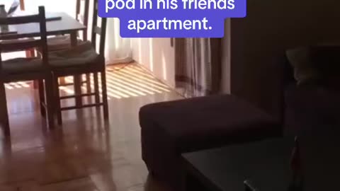 Talk about a tight squeeze man pays $500 a month to live in pod in Friends Apartment