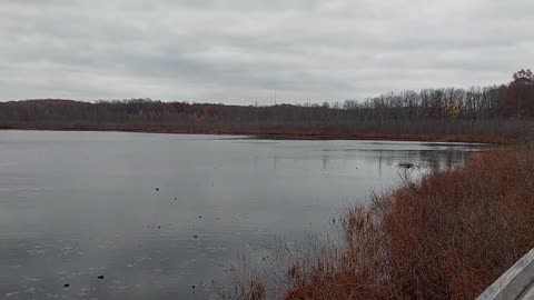 Burton Wetlands State Nature Preserve