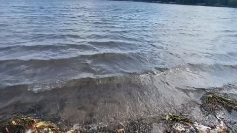 Rockhounding At Serpent Lake