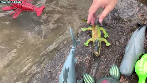 Sea Animal Toys This Summer at the Shore