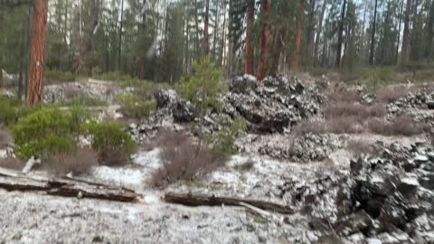 Hiking the Ponderosa Volcanic Zone – Central Oregon – Edison Sno-Park