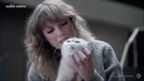 Taylor swift being bullied by her cats 🐱