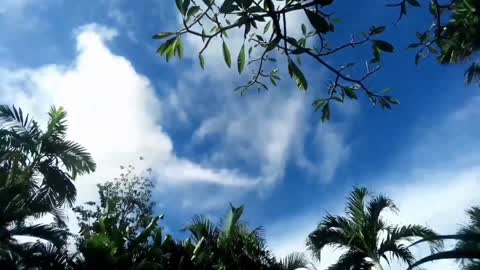 clear sky time lapse video moving clouds