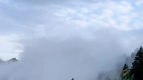 Clouds and fog surround the scenery of Shennongjia, a fairyland on earth