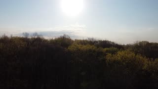 Neighborhood Forest at Sunrise from a Drone