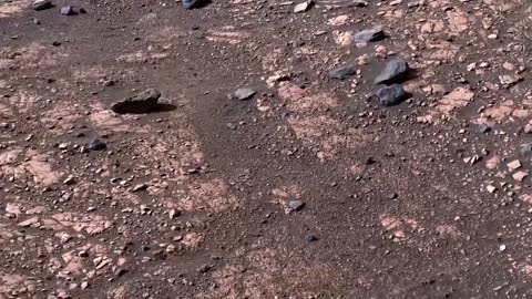 Solar system's first life might be on Mars: study