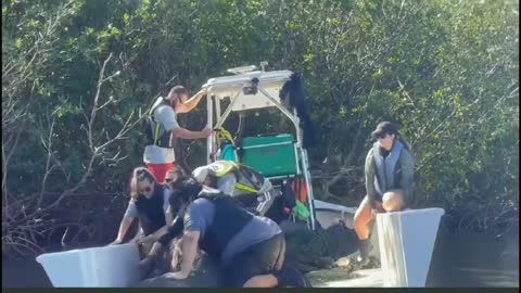 Wild life-Big fish catching by expert team of womens with boat