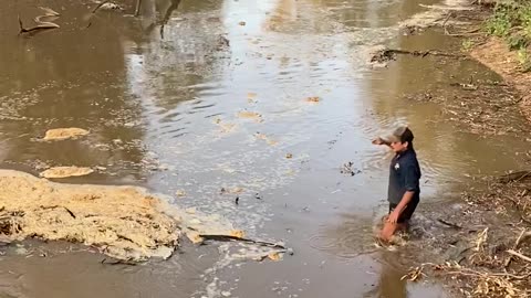 Saving a Trapped Echidna