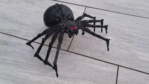 Halloween ,,3D Printing Spider" 🎃🕷