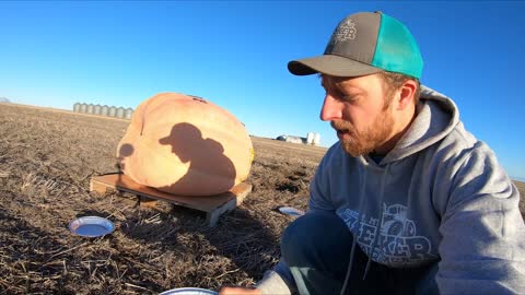 800lb Pumpkin Explodes! 🎃+💣=🥧