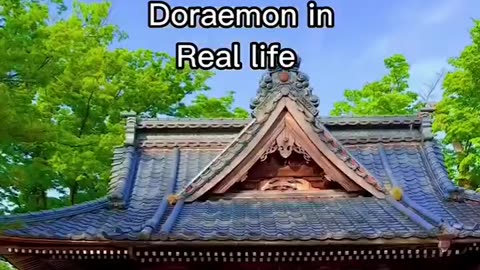 Doremon in real life 😺