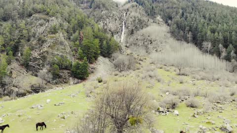 Aerial view of horses grazing at the foot of the waterfall