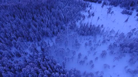 Snowfall Winter | Free Stock Footage | Royalty free drone shots