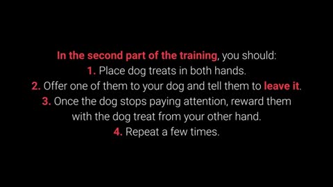 🐕 Basic Dog Training – TOP 10 Essential Commands Every Dog Should Know!