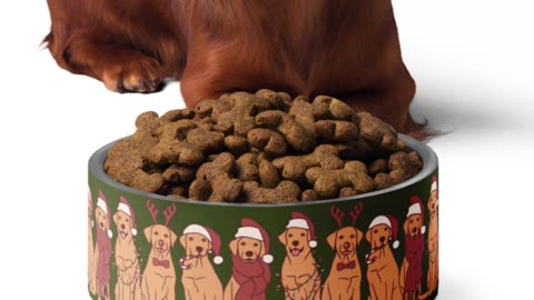 New Holiday Collection pet food bowls for Christmas!