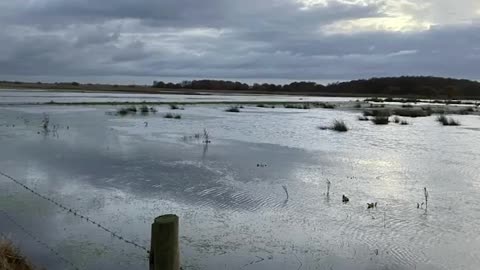 Just Stop Oil's Roger Hallam Responds To UK's Regular Floods By Telling Everyone To Stop Eating Meat